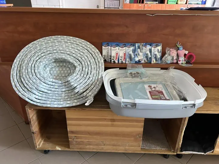 Dziękujemy za podarowanie legowisk i akcesoriów dla naszych psów i kotów.