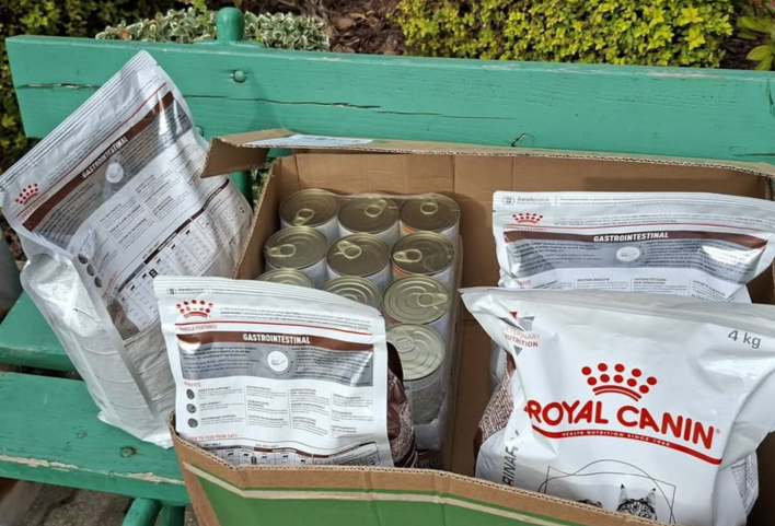 II Liceum Ogólnokształcącemu w Łańcucie