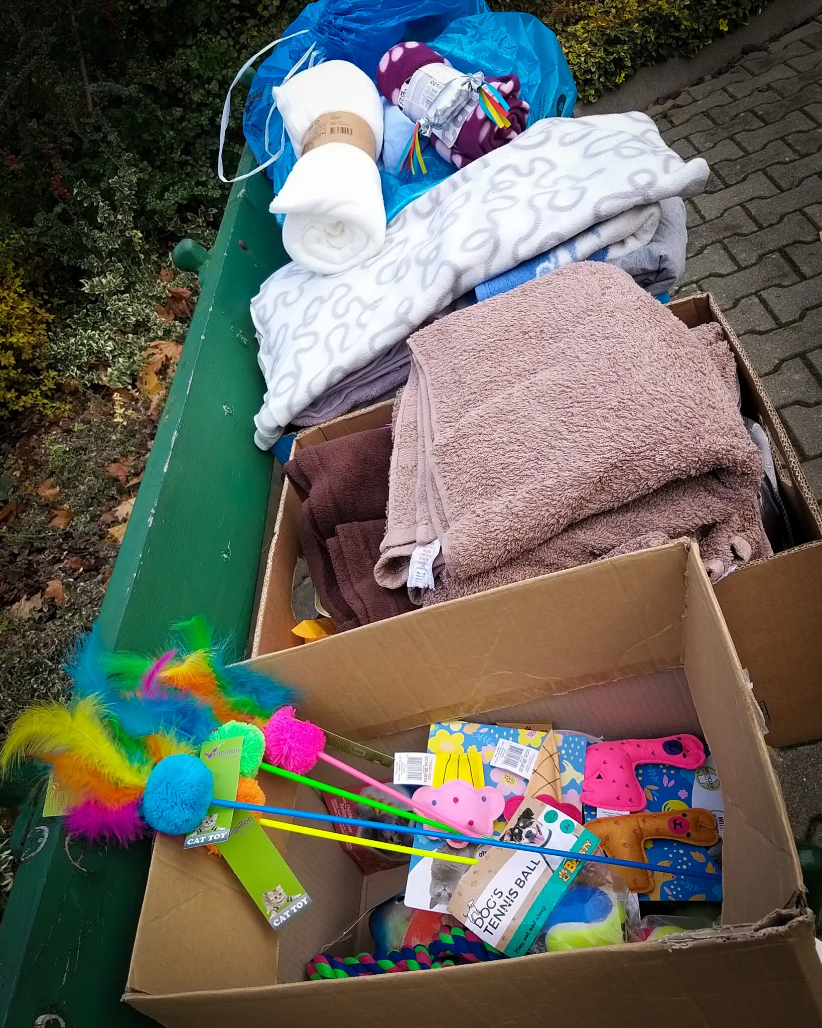 Przedszkole nr 20 w Rzeszowie