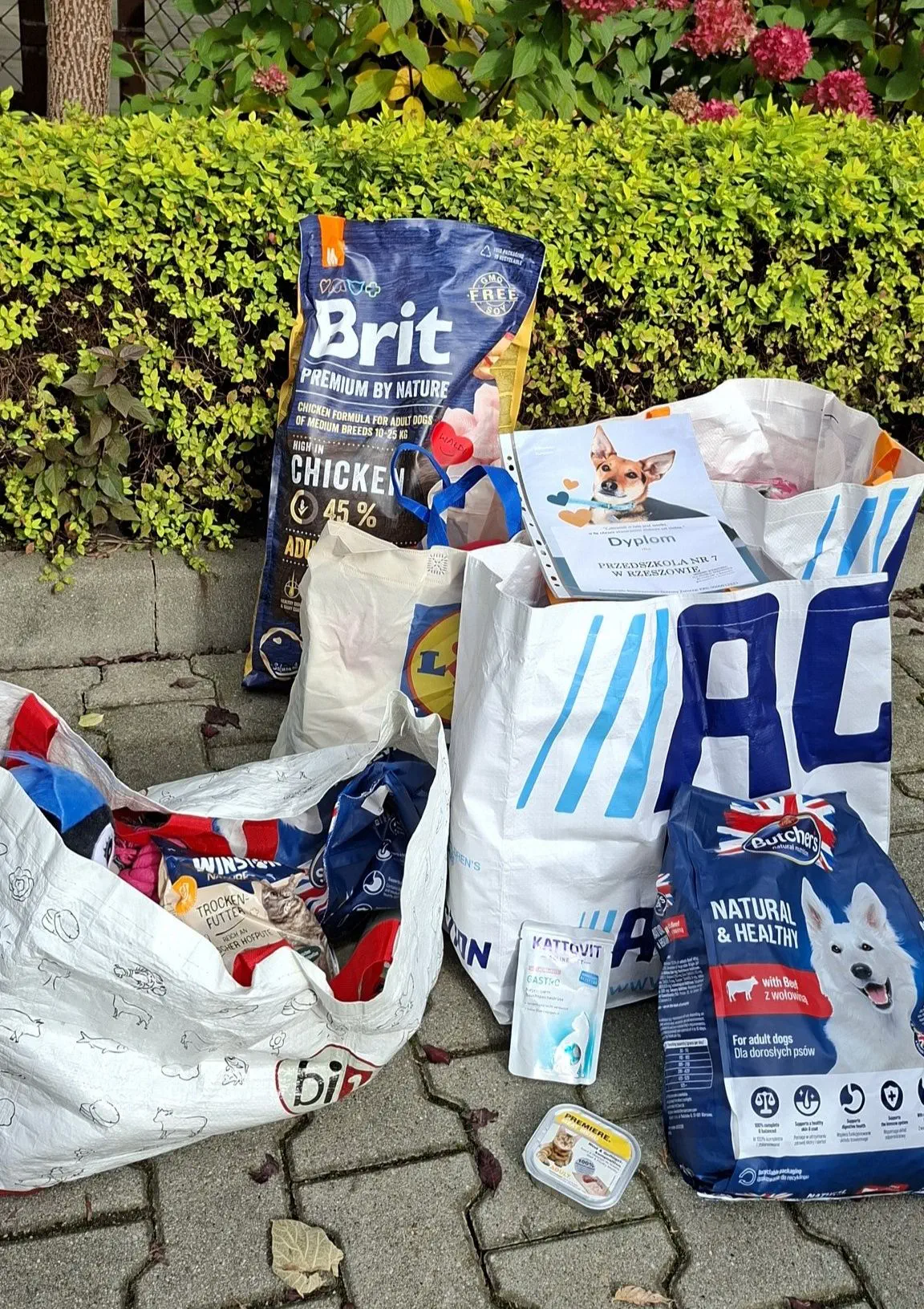 Przedszkole nr 7 w Rzeszowie