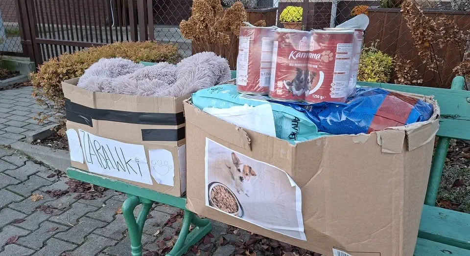 Klasa 1-3 Zespołu Szkół Muzycznych nr 1 w Rzeszowie